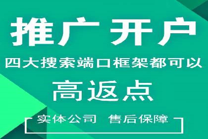 某电商平台的SEM推广策略分析